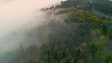 Überflug-Eines-Nebligen-Waldes-Bei-Sonnenaufgang-Im-Herbst