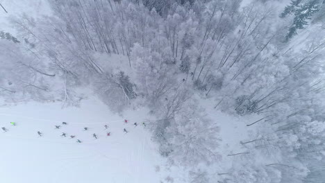 Aerial-drone-bird's-eye-view-of-skater-skating-through-a-snow-covered-winding-path-through-the-forest-on-a-winter-day