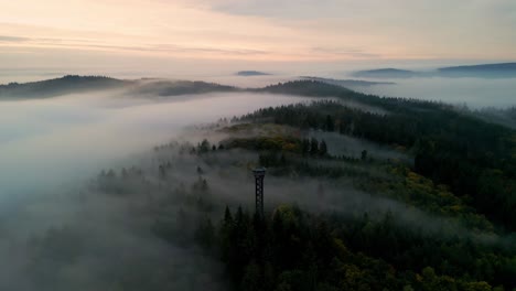 Foggy-sunrise-over-a-dark-autumn-forest-with-watchtower-in-foreground