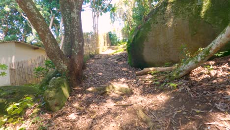 Trail-in-the-forest-between-large-stones-and-mango-trees