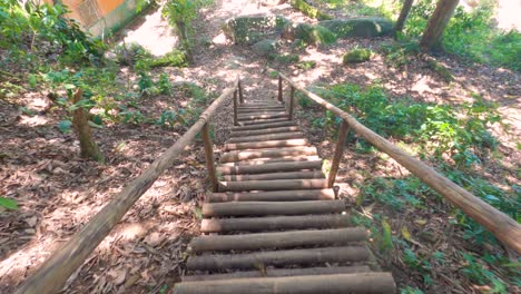 Walking-down-wooden-stairs-in-slow-motion