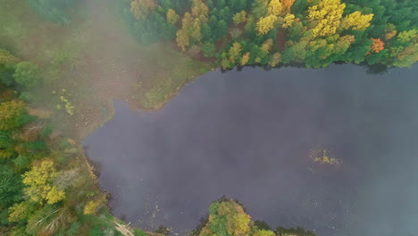 Aerial-straight-down-shot-of-lake-shoreline-with-autumnal-colorful-trees-in-Reserve-Park