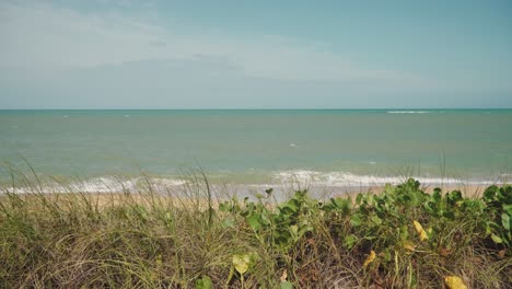 Caraiva-Strand-Bahia-Portoseguro-Brasilien-Sand-Meer-Grün-Vegetation-Sonne-Brach-Caraiva-Strand
