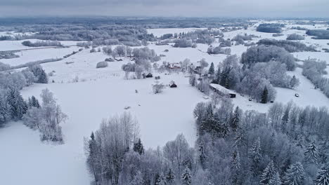 Aerial-drone-forward-moving-shot-of-wooden-cottages-along-rural-landscape-covered-with-white-snow-on-a-cloudy-day