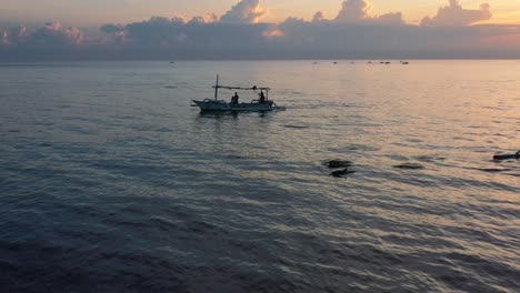 Luftaufnahmen-Von-Delfinen,-Die-Bei-Sonnenaufgang-Im-Ruhigen,-Flachen-Ozean-In-Lovina-Bali-Indonesien-Schwimmen,-Umgeben-Von-Touristen-Auf-Bootstour