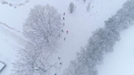 Aerial-top-down-shot-showing-group-of-Cross-country-Skier-skiing-on-white-snowy-field-during-tournament