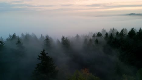 Nebeliger-Morgen-über-Einem-Dunklen-Herbstwald