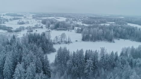 Aerial-drone-forward-moving-shot-over-a-wooden-cottage-and-long-shed-surrounded-by-snow-covered-white-landscape-on-a-cloudy-day