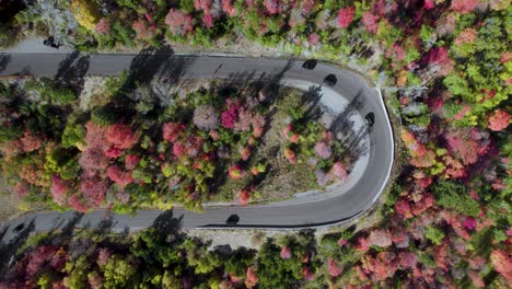 cars-drives-on-a-mountain-road-among-autumn-colored-trees