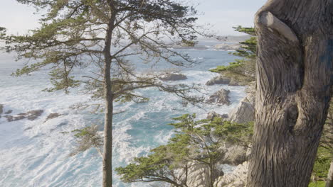 Schwenk-Durch-Bäume-Von-Wellen-Im-Pazifischen-Ozean-An-Der-Küste-Von-Big-Sur-California