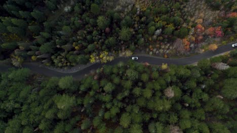 Car-driving-slowly-on-asphalt-road-winding-through-forest,-overhead