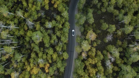 Overhead-View-Of-Car-Driving-Through-Alpine-Loop-In-The-Midst-Of-Forest-In-Wasatch-Mountains,-Utah,-USA