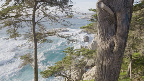 Stationary-shot-through-trees-on-a-hill-side-with-relaxing-waves-crashing-in-the-background-located-at-Big-Sur-California