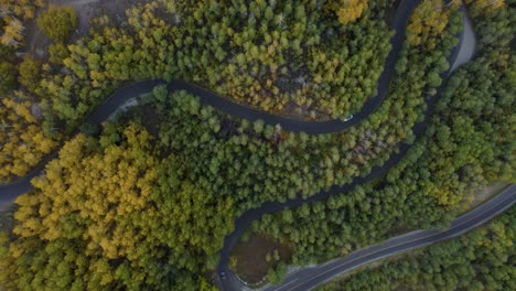 Top-down-aerial-of-cars-on-snaking-road-on-mountain-pass---trees-in-fall-colors