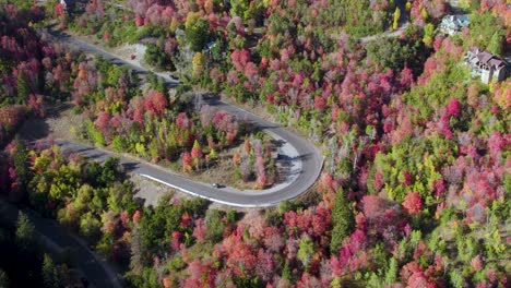 Gorgeous-vivid-colorful-tree-leaves-in-Utah-state-road-92-from-aerial-view