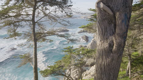 slow-motion-shot-through-trees-on-the-mountainside-in-Big-Sur-California-with-calming-waves-rolling-through-the-Pacific-Ocean