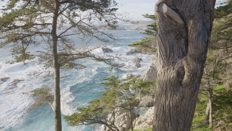 Stationary-shot-of-Pacific-Ocean-from-a-hill-side-on-Big-Sur-California-beach-Through-trees