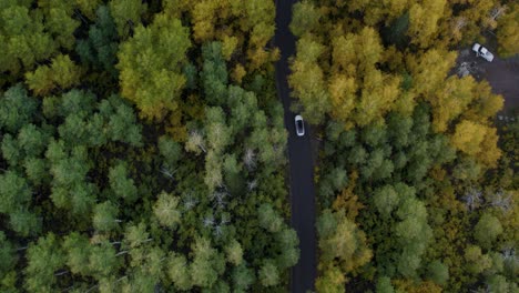 Auto-Fährt-Auf-Einer-Schwarzen-Straße-Zwischen-Bäumen-In-Gelben-Herbstfarben