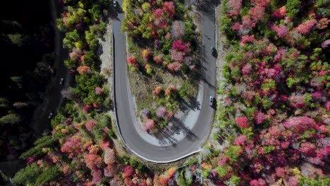 Top-down-footage-of-traffic-on-scenic-mountain-drive-in-autumn-forest