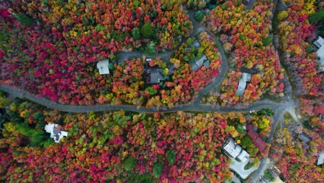 Große-Villen,-Die-Durch-Eine-Straße-Zwischen-Bäumen-In-Herbstfarben-Verbunden-Sind