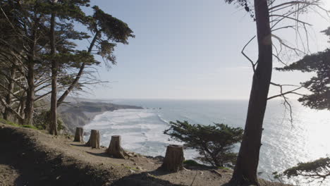 Stationary-shot-of-trees-and-bushes-along-cliff-side-with-waves-crashing-in-the-background-located-in-Big-Sur-California