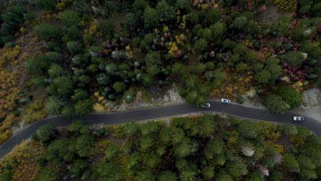 Vehicles-drive-on-a-mountain-road-among-trees-in-autumn-colors