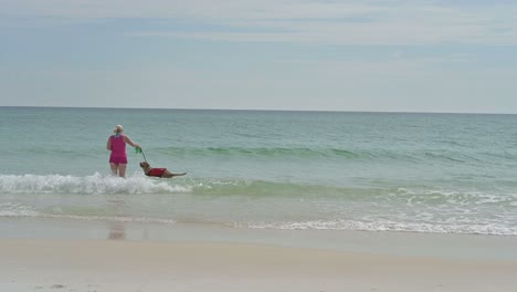Dog-playing-with-ball-on-Pensacola-beach-on-white-sands-and-clear-emerald-waters-on-a-hot-Sunny-day-with-clear-sky-woman-and-man-playing-with-a-dog