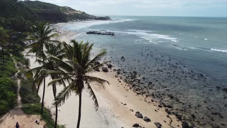 Stetiger-Schuss-Von-Palmen,-Die-Im-Wind-Wehen,-Mit-Brasilianischem-Strand-Im-Hintergrund