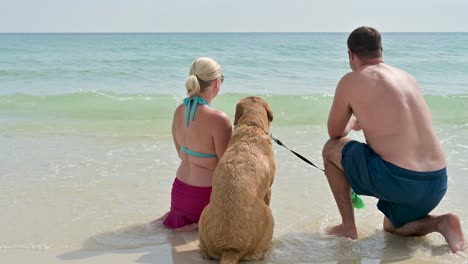 Dog-playing-with-ball-on-Pensacola-beach-on-white-sands-and-clear-emerald-waters-on-a-hot-Sunny-day-with-clear-sky-woman-and-man-playing-with-a-dog