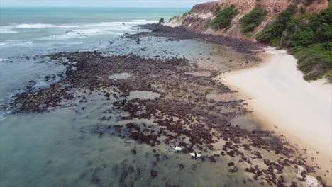 Pan-Down-Shot-Von-Surfern,-Die-In-Den-Ozean-In-Brasilien-Gehen,-Tropischer-Strand-Pipa-Beach,-Brasilien-Mit-Drohne-4k