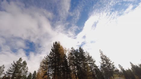 Niedriger-Winkel-Blickt-Durch-Herbstbäume-Zu-Wolken,-Die-Im-Blauen-Himmel-Treiben