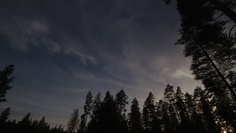 Dämmerungswolken-Ziehen-über-Den-Dunkler-Werdenden-Himmel,-Während-Die-Nacht-Im-Borealen-Wald-Hereinbricht
