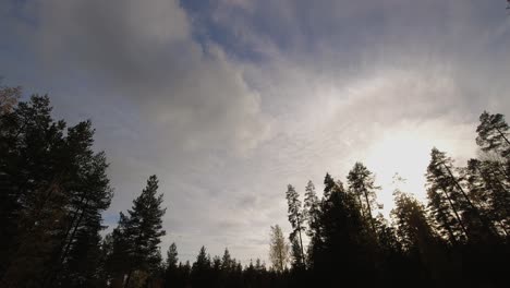 Cirrus-and-cumulus-clouds-drift-through-northern-forest-evening-sky