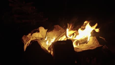Camper,-Der-Nachts-Einen-Marshmallow-Auf-Einem-Stock-In-Einem-Orangefarbenen-Lagerfeuer-Röstet