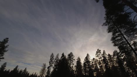 Clouds-cross-northern-forest-sky-as-sun-slowly-sets-behind-trees