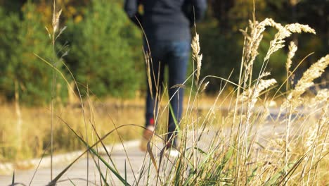 Caucasian-male-exploring-nordic-seaside-forest,-wooden-pathway,-man-walking-alone-in-the-coastal-pine-forest,-sunny-day,-healthy-activity-concept,-dry-grass-in-foreground,-medium-shot