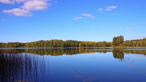 Schöne-Herbstliche-Seenlandschaft-Mit-Wald-Und-Blauem-Himmel