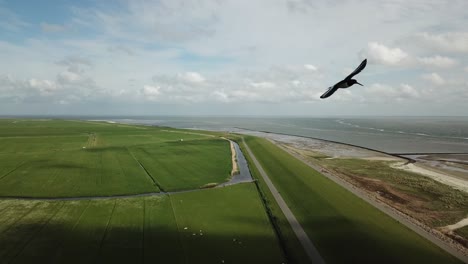 Eine-Erstaunliche-Drohnenaufnahme-Der-Deiche-Auf-Der-Insel-Ameland-Mit-Fliegenden-Vögeln