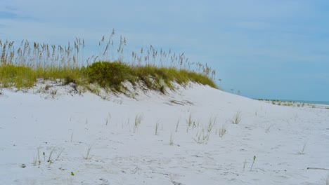 Dünen-Mit-Seehafer-An-Der-Nationalen-Küste-Seit-Klarem-Himmel,-Weißem-Sand,-Klarem-Smaragdgrünem-Wasser-Von-Pensacola-Nach-Navarra-Beach