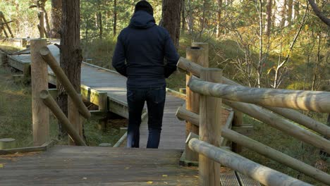 Back-view-of-caucasian-male-exploring-nordic-seaside-forest,-wooden-pathway,-man-walking-alone-in-the-coastal-pine-forest,-sunny-day,-healthy-activity-concept,-medium-shot