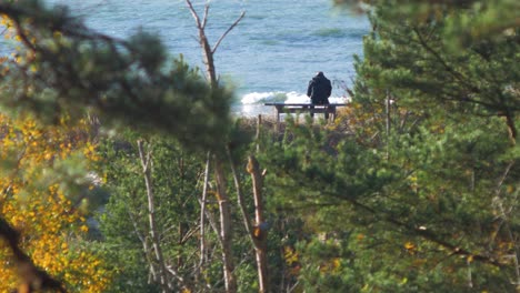 Back-view-of-caucasian-male-exploring-nordic-seaside-forest,-man-sitting-alone-on-the-gray-wooden-bench-on-the-beach,-coastal-pine-forest-in-foreground,-sunny-day,-healthy-activity-concept