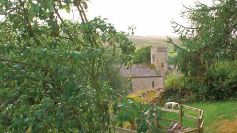 Wide-shot-of-English-church-nestled-between-pear-tree-in-Yorkshire-Dales