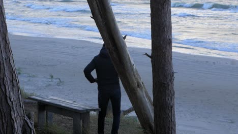 Back-view-of-caucasian-male-exploring-nordic-seaside-forest,-gray-wooden-bench-on-the-beach,-man-sitting-alone-in-the-coastal-pine-forest,-overcast-day,-healthy-activity-concept,-distant-medium-shot