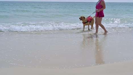 Hund-Spielt-Mit-Ball-Am-Strand-Von-Pensacola-Auf-Weißem-Sand-Und-Klarem-Smaragdgrünem-Wasser-An-Einem-Heißen-Sonnigen-Tag-Mit-Klarem-Himmel-Frau-Und-Mann-Spielen-Mit-Einem-Hund