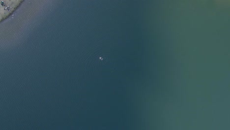 Top-down-drone-footage-of-a-person-swimming-in-a-lake-in-the-mountains