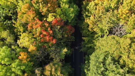 Birds-eye-view-of-two-cars-driving-on-a-country-road-with-Autumn-coloured-trees
