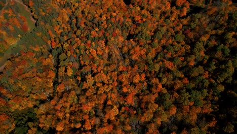 Aerial-tilt-up-over-Catskill-Mountains-with-stunning-fall-foliage