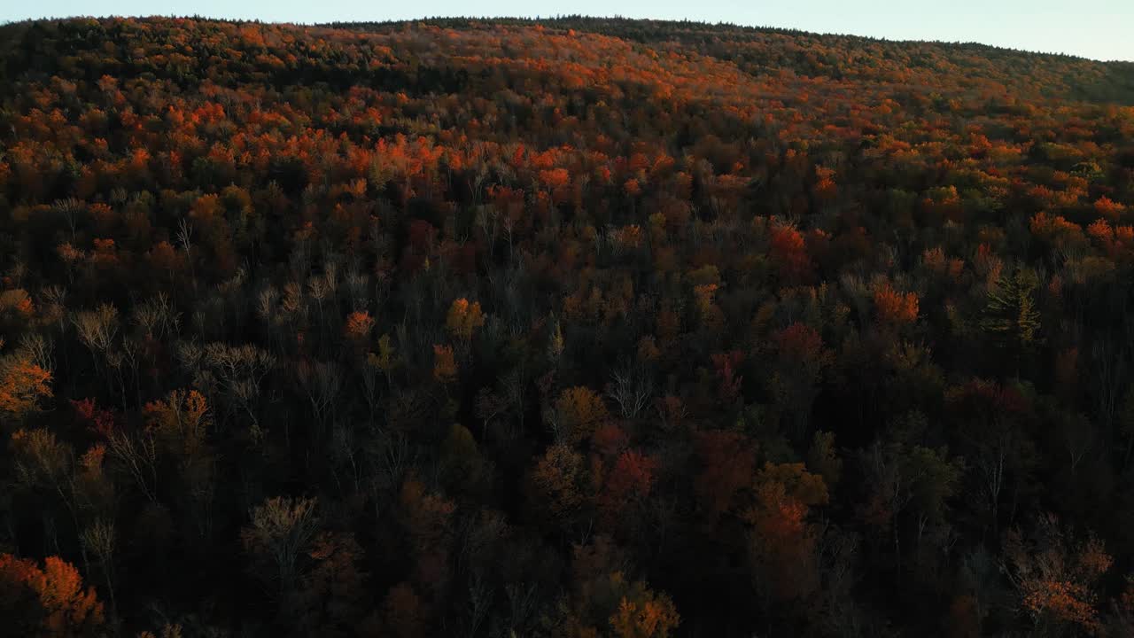 Premium stock video Golden hour aerial over stunning fall foliage of