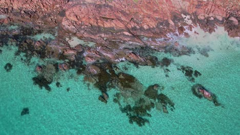 Drohnenaufnahmen-Von-Oben-Nach-Unten-Vom-Türkisfarbenen-Wasser-Und-Den-Orangefarbenen-Felsen-Von-Point-Piquet-In-Westaustralien