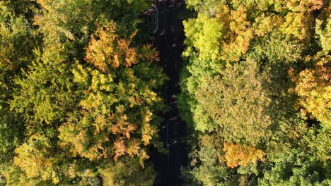 Birds-eye-view-of-quiet-country-road-with-in-Autumn-with-no-cars-dolly-forward